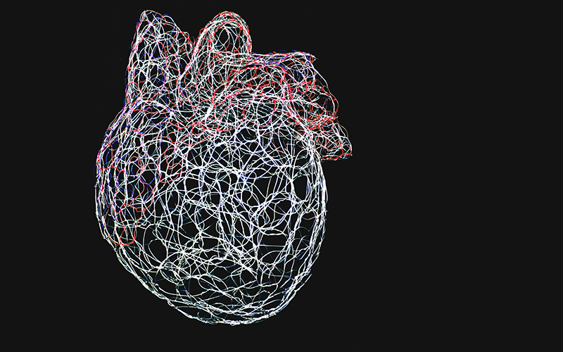 Monumentali — Cuore, fotografia dell’opera originale